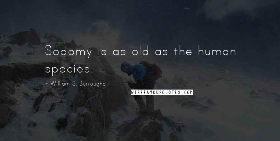 William S. Burroughs Quotes: Sodomy is as old as the human species.