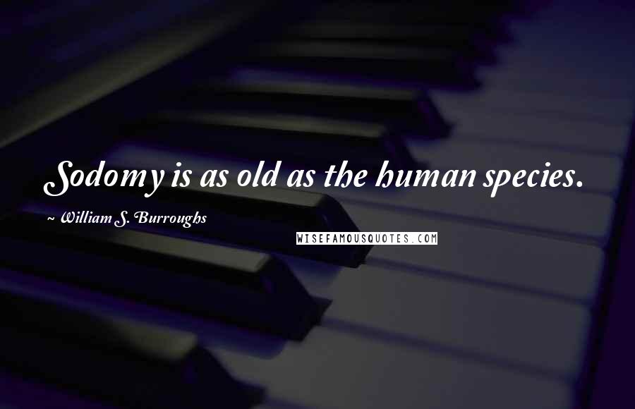 William S. Burroughs Quotes: Sodomy is as old as the human species.