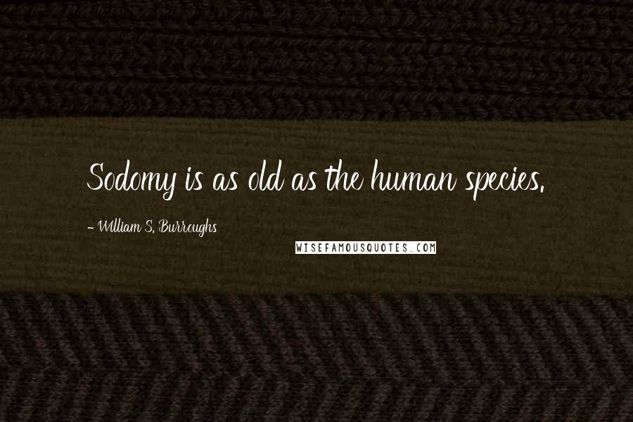 William S. Burroughs Quotes: Sodomy is as old as the human species.