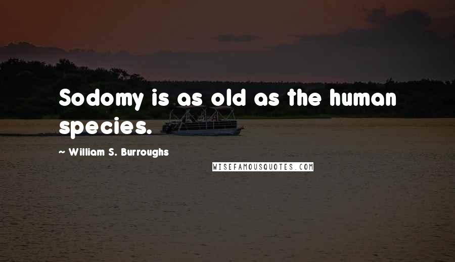 William S. Burroughs Quotes: Sodomy is as old as the human species.