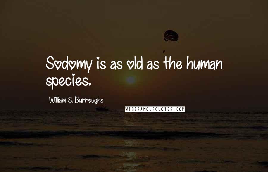 William S. Burroughs Quotes: Sodomy is as old as the human species.