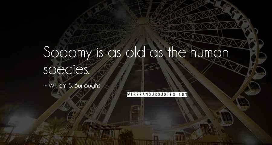 William S. Burroughs Quotes: Sodomy is as old as the human species.