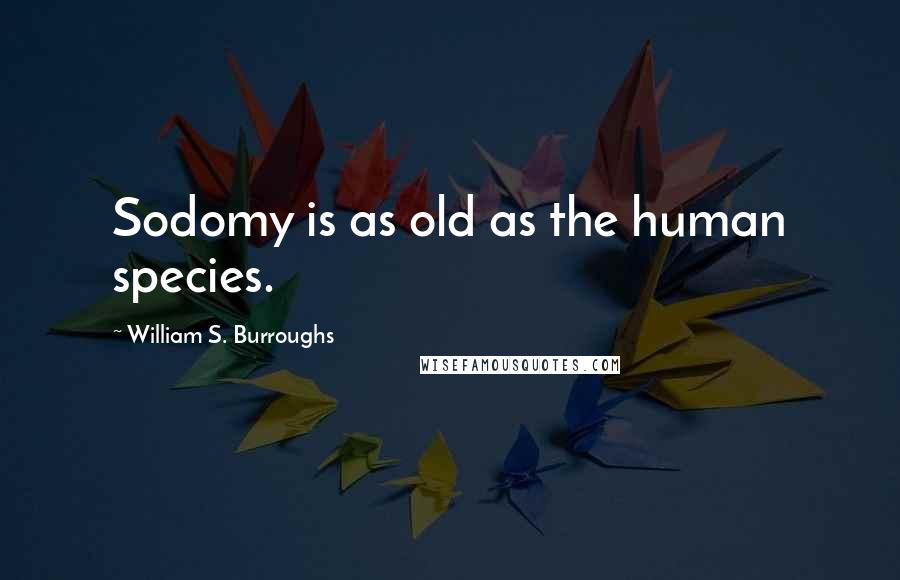 William S. Burroughs Quotes: Sodomy is as old as the human species.