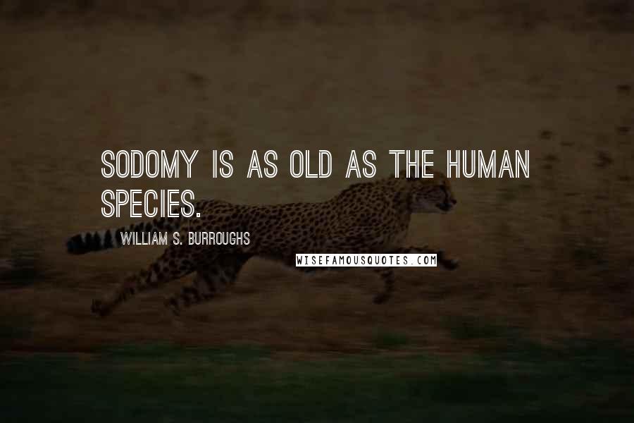 William S. Burroughs Quotes: Sodomy is as old as the human species.