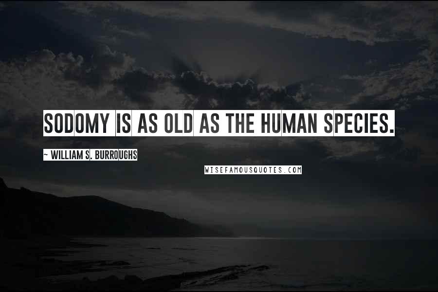 William S. Burroughs Quotes: Sodomy is as old as the human species.