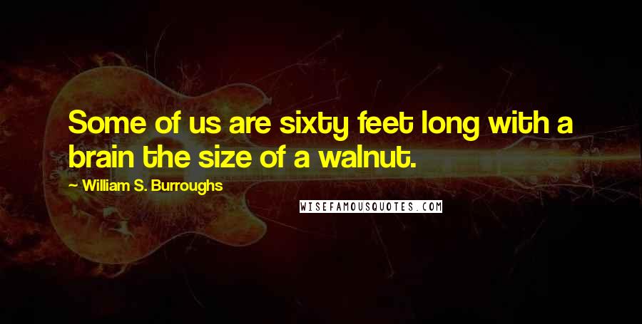 William S. Burroughs Quotes: Some of us are sixty feet long with a brain the size of a walnut.