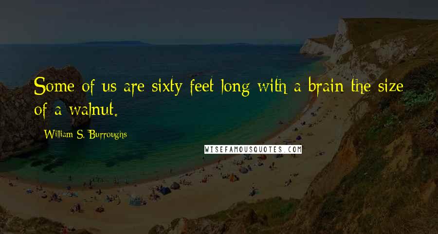 William S. Burroughs Quotes: Some of us are sixty feet long with a brain the size of a walnut.