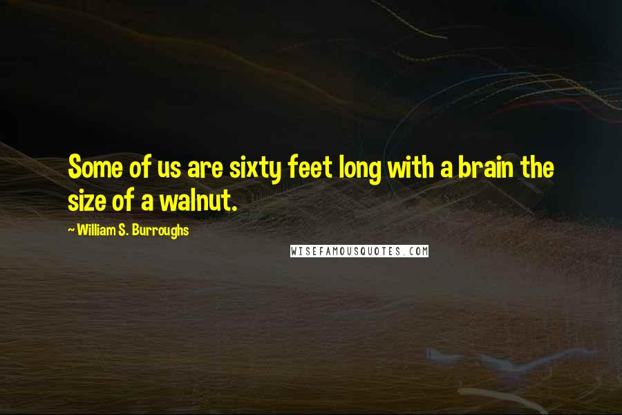 William S. Burroughs Quotes: Some of us are sixty feet long with a brain the size of a walnut.