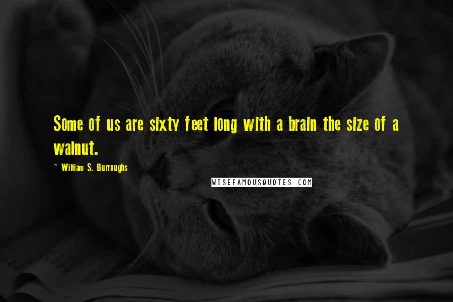 William S. Burroughs Quotes: Some of us are sixty feet long with a brain the size of a walnut.