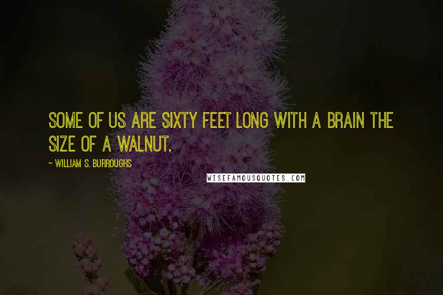 William S. Burroughs Quotes: Some of us are sixty feet long with a brain the size of a walnut.