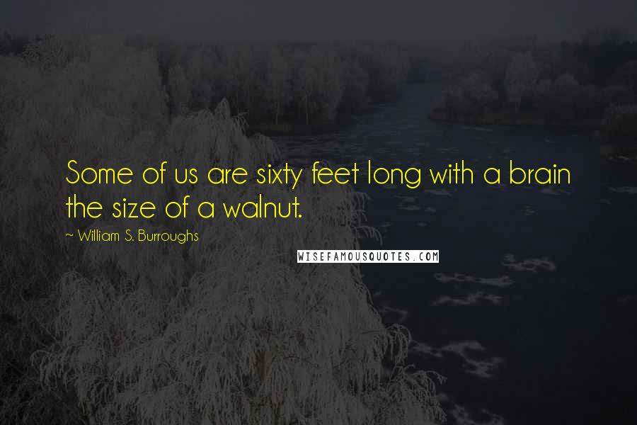 William S. Burroughs Quotes: Some of us are sixty feet long with a brain the size of a walnut.