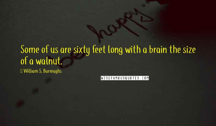 William S. Burroughs Quotes: Some of us are sixty feet long with a brain the size of a walnut.