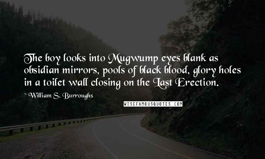 William S. Burroughs Quotes: The boy looks into Mugwump eyes blank as obsidian mirrors, pools of black blood, glory holes in a toilet wall closing on the Last Erection.
