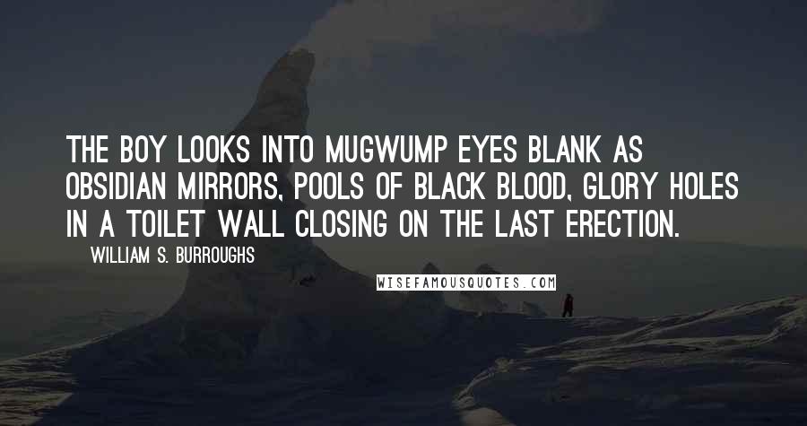 William S. Burroughs Quotes: The boy looks into Mugwump eyes blank as obsidian mirrors, pools of black blood, glory holes in a toilet wall closing on the Last Erection.