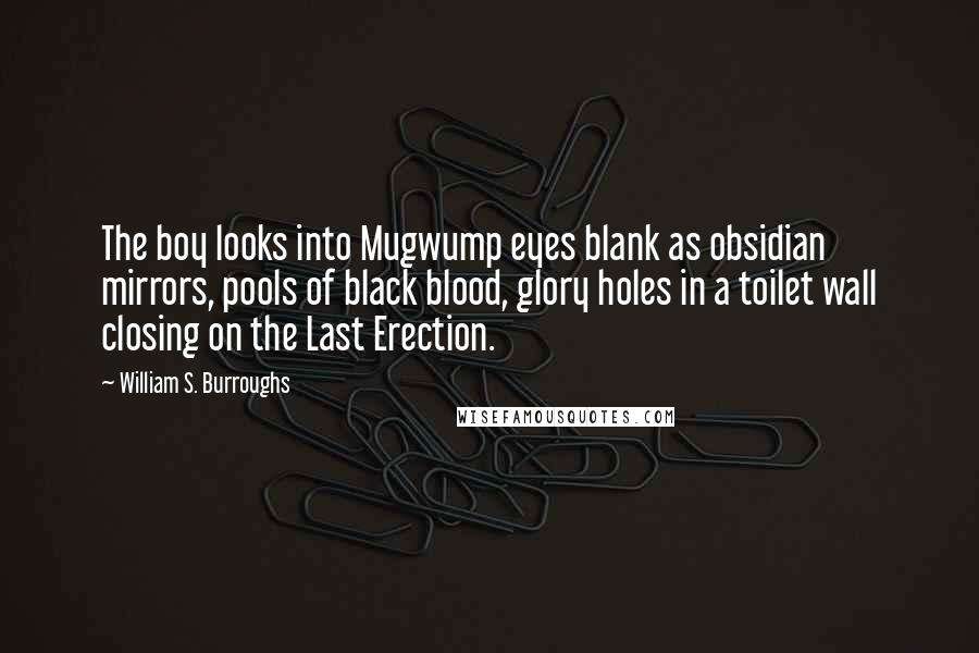 William S. Burroughs Quotes: The boy looks into Mugwump eyes blank as obsidian mirrors, pools of black blood, glory holes in a toilet wall closing on the Last Erection.