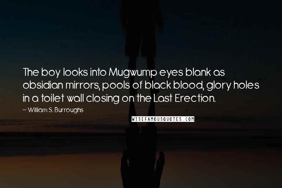 William S. Burroughs Quotes: The boy looks into Mugwump eyes blank as obsidian mirrors, pools of black blood, glory holes in a toilet wall closing on the Last Erection.