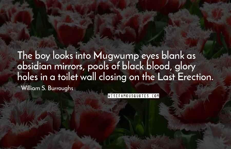 William S. Burroughs Quotes: The boy looks into Mugwump eyes blank as obsidian mirrors, pools of black blood, glory holes in a toilet wall closing on the Last Erection.