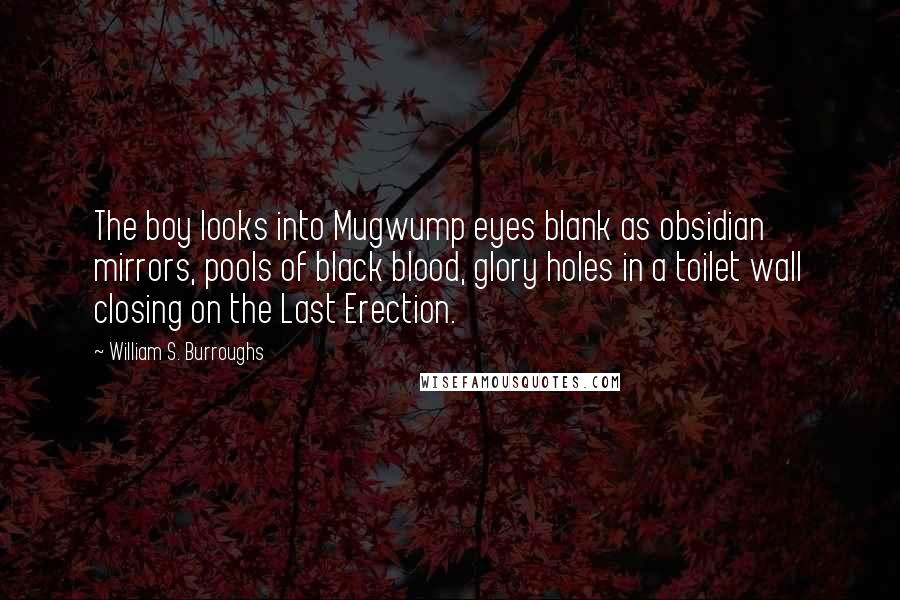 William S. Burroughs Quotes: The boy looks into Mugwump eyes blank as obsidian mirrors, pools of black blood, glory holes in a toilet wall closing on the Last Erection.