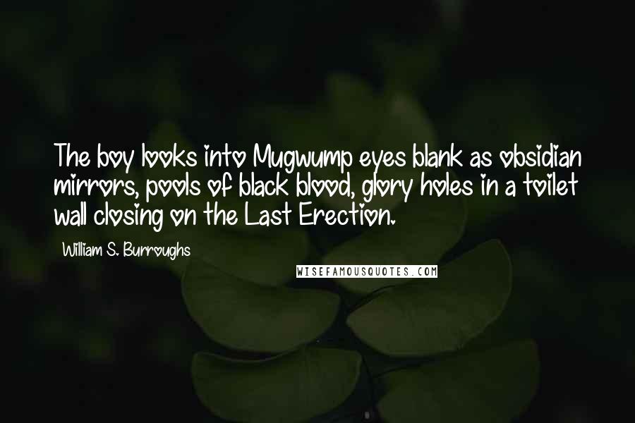 William S. Burroughs Quotes: The boy looks into Mugwump eyes blank as obsidian mirrors, pools of black blood, glory holes in a toilet wall closing on the Last Erection.