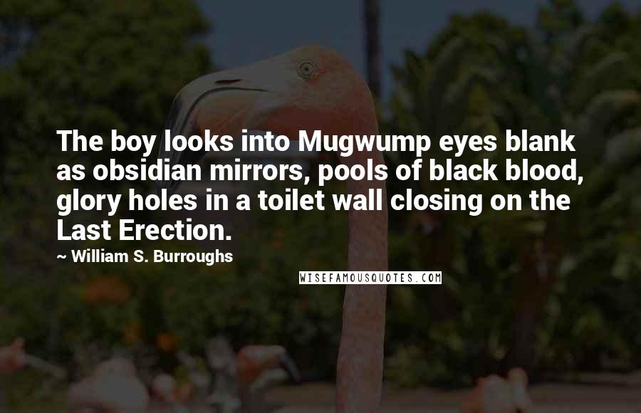 William S. Burroughs Quotes: The boy looks into Mugwump eyes blank as obsidian mirrors, pools of black blood, glory holes in a toilet wall closing on the Last Erection.