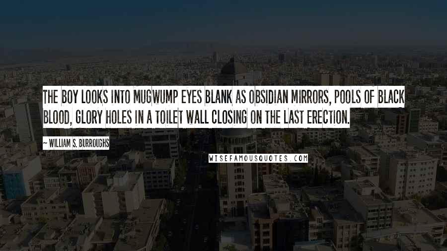 William S. Burroughs Quotes: The boy looks into Mugwump eyes blank as obsidian mirrors, pools of black blood, glory holes in a toilet wall closing on the Last Erection.