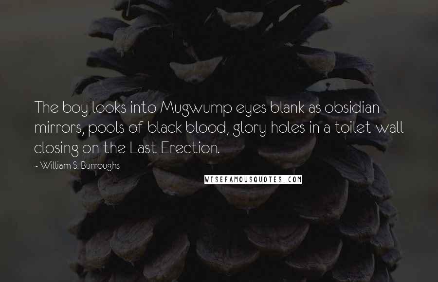 William S. Burroughs Quotes: The boy looks into Mugwump eyes blank as obsidian mirrors, pools of black blood, glory holes in a toilet wall closing on the Last Erection.