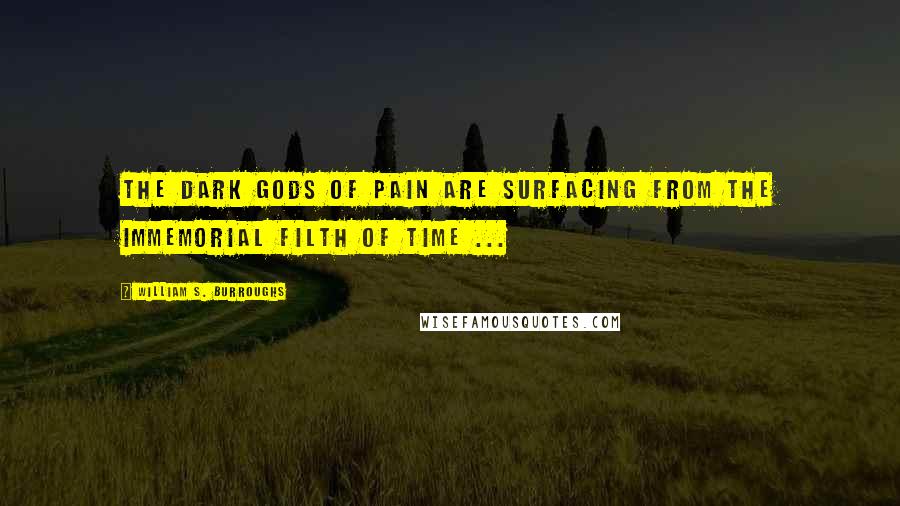 William S. Burroughs Quotes: The dark Gods of pain are surfacing from the immemorial filth of time ...