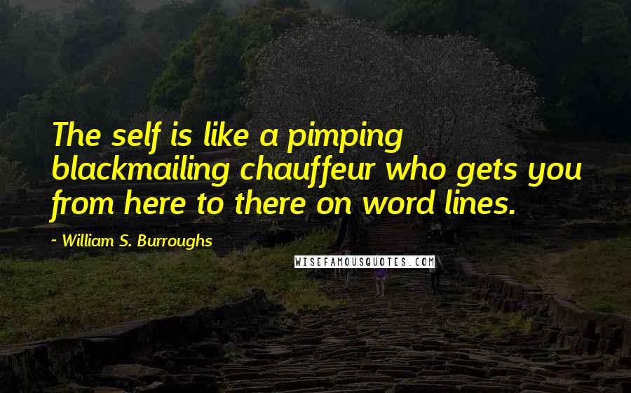 William S. Burroughs Quotes: The self is like a pimping blackmailing chauffeur who gets you from here to there on word lines.
