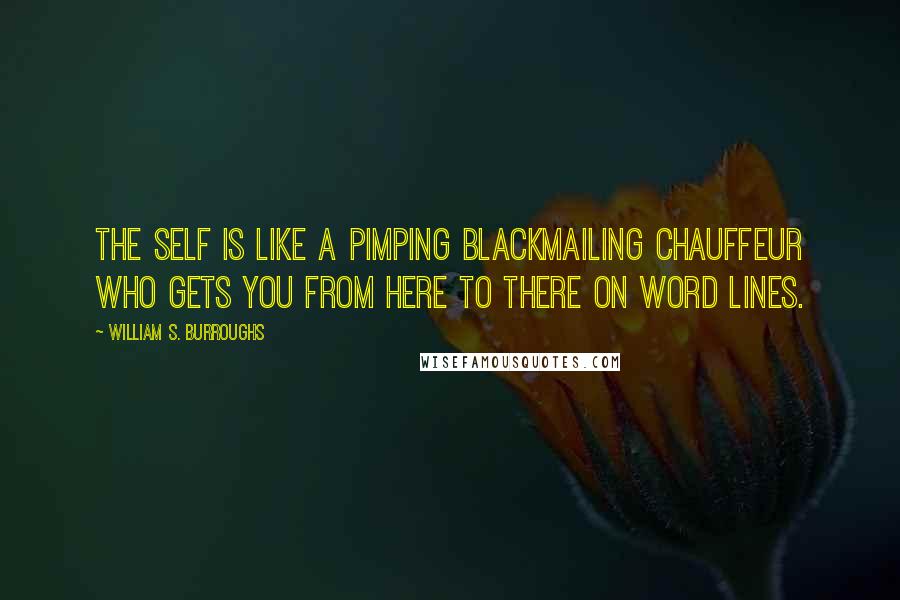 William S. Burroughs Quotes: The self is like a pimping blackmailing chauffeur who gets you from here to there on word lines.