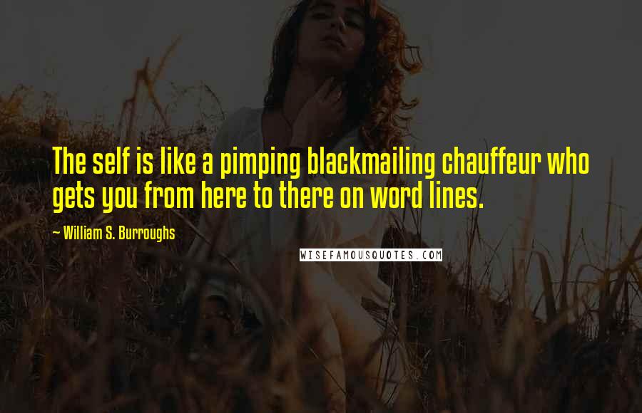William S. Burroughs Quotes: The self is like a pimping blackmailing chauffeur who gets you from here to there on word lines.