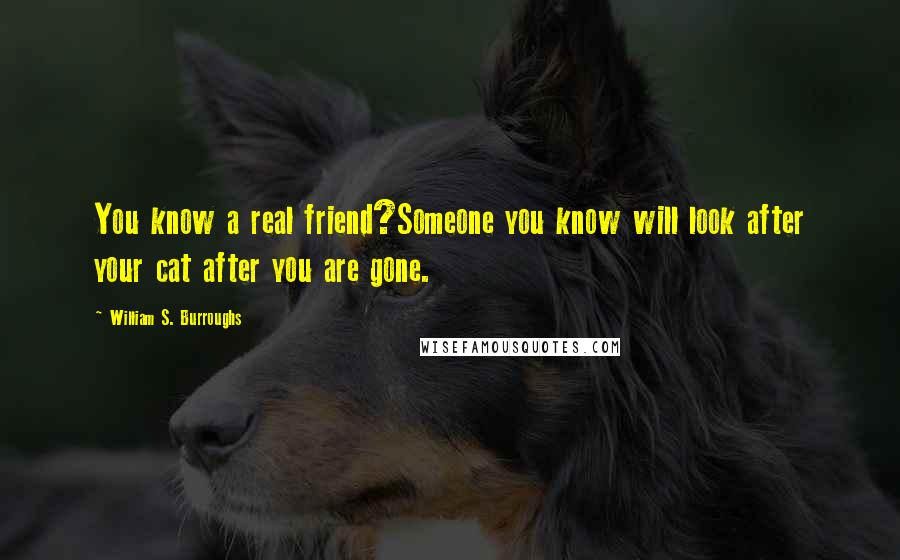 William S. Burroughs Quotes: You know a real friend?Someone you know will look after your cat after you are gone.