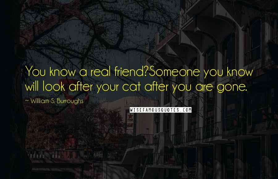 William S. Burroughs Quotes: You know a real friend?Someone you know will look after your cat after you are gone.