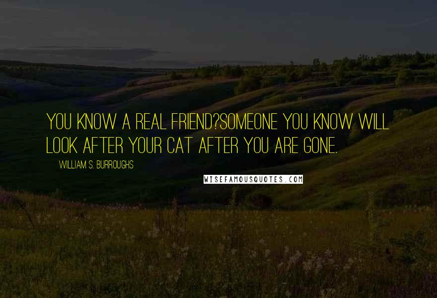 William S. Burroughs Quotes: You know a real friend?Someone you know will look after your cat after you are gone.