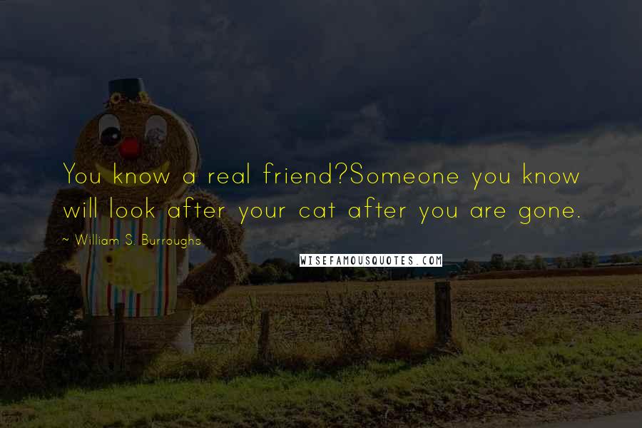 William S. Burroughs Quotes: You know a real friend?Someone you know will look after your cat after you are gone.