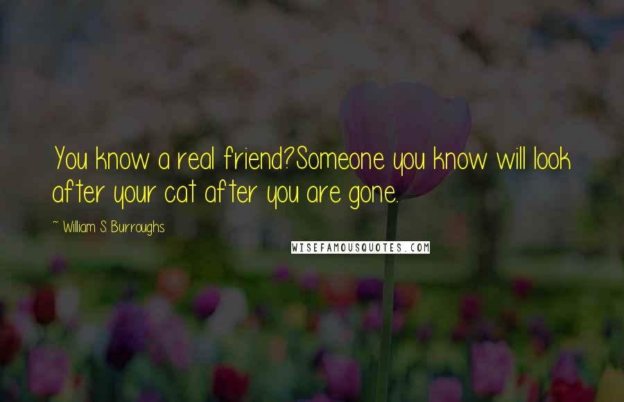 William S. Burroughs Quotes: You know a real friend?Someone you know will look after your cat after you are gone.