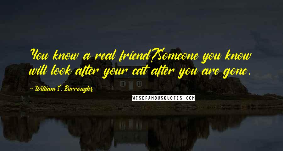 William S. Burroughs Quotes: You know a real friend?Someone you know will look after your cat after you are gone.