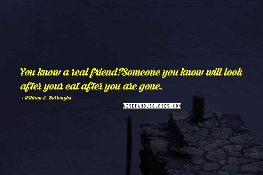 William S. Burroughs Quotes: You know a real friend?Someone you know will look after your cat after you are gone.