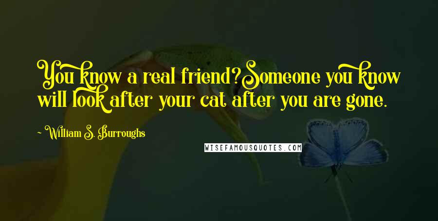 William S. Burroughs Quotes: You know a real friend?Someone you know will look after your cat after you are gone.