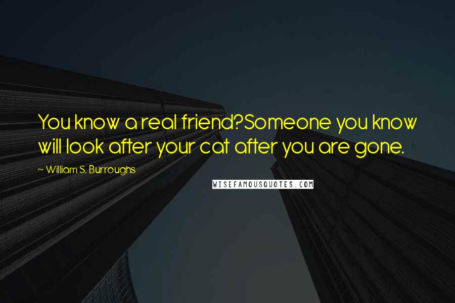 William S. Burroughs Quotes: You know a real friend?Someone you know will look after your cat after you are gone.