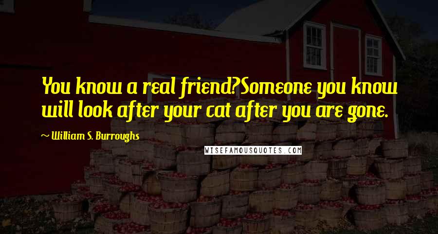 William S. Burroughs Quotes: You know a real friend?Someone you know will look after your cat after you are gone.