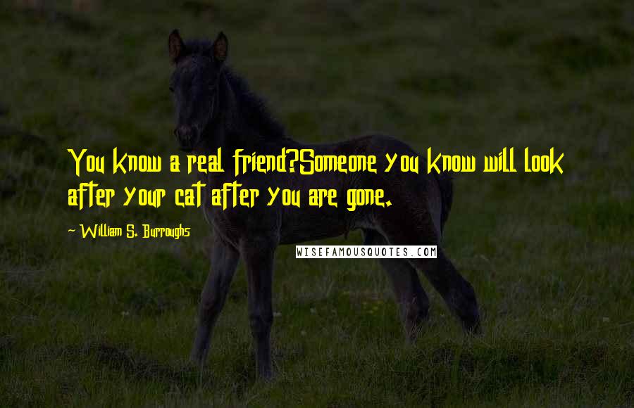 William S. Burroughs Quotes: You know a real friend?Someone you know will look after your cat after you are gone.