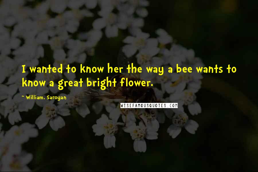 William, Saroyan Quotes: I wanted to know her the way a bee wants to know a great bright flower.