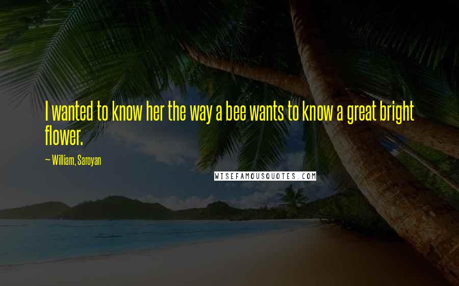William, Saroyan Quotes: I wanted to know her the way a bee wants to know a great bright flower.