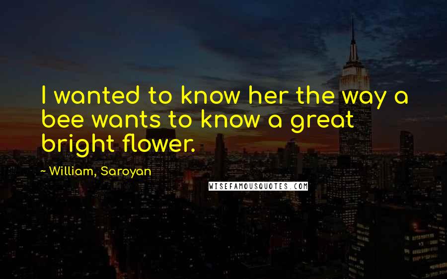 William, Saroyan Quotes: I wanted to know her the way a bee wants to know a great bright flower.