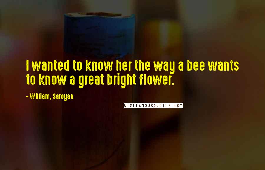 William, Saroyan Quotes: I wanted to know her the way a bee wants to know a great bright flower.