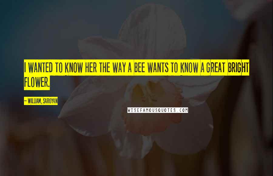 William, Saroyan Quotes: I wanted to know her the way a bee wants to know a great bright flower.