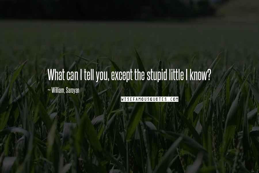William, Saroyan Quotes: What can I tell you, except the stupid little I know?