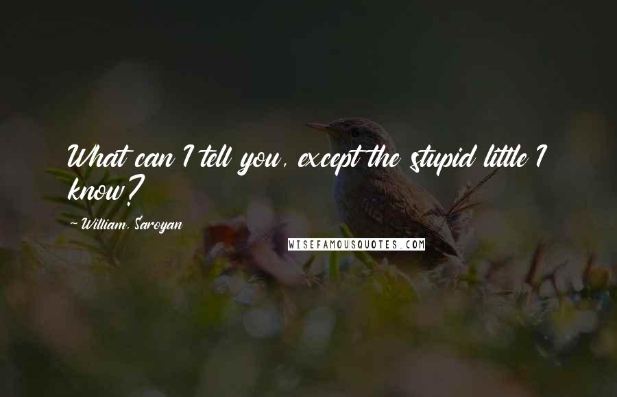 William, Saroyan Quotes: What can I tell you, except the stupid little I know?