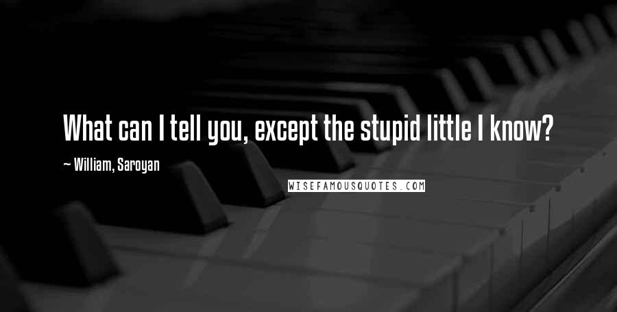 William, Saroyan Quotes: What can I tell you, except the stupid little I know?