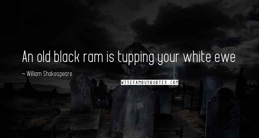 William Shakespeare Quotes: An old black ram is tupping your white ewe